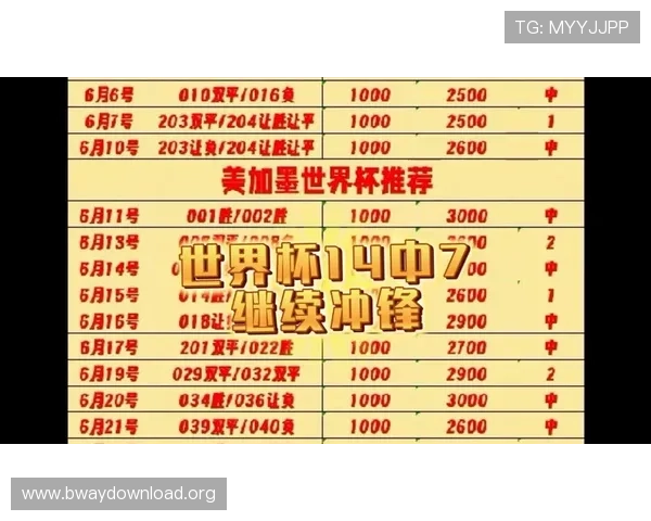 厄瓜多尔VS德国世界杯比赛比分最新公布，比赛亮点与关键时刻全面解析
